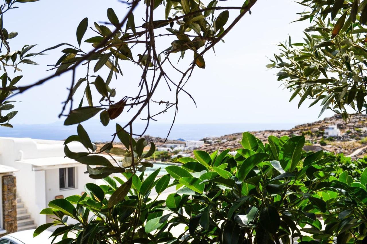 Elma'S Summerhouses Mykonos Town エクステリア 写真
