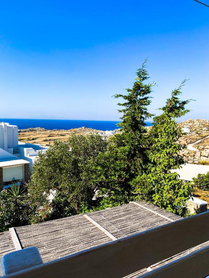 Elma'S Summerhouses Mykonos Town エクステリア 写真